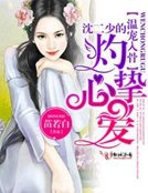 温宠入骨,沈二少的灼心挚爱