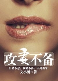 攻妻不备