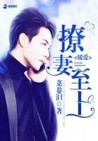 暖皑之撩妻至上