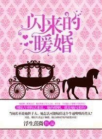 閃來的暖婚(高幹)