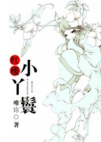 (BG-红楼梦同人)红楼小丫鬟
