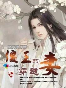 臣妾愛打牌:傻王的穿越妻