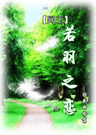 (網王同人)若羽之戀