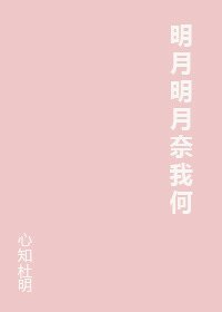 明月明月奈我何