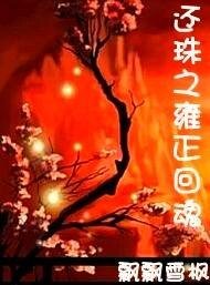 (综琼瑶同人)还珠之雍正回魂