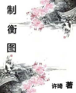 制衡图