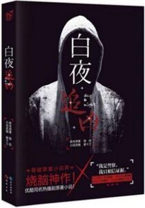 白夜追凶(出书版)