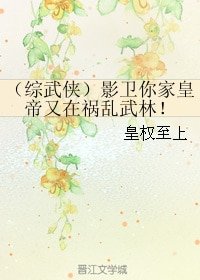 (综武侠同人)影卫你家皇帝又在祸乱武林!