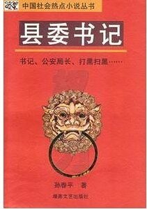 县委书记