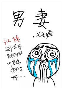 (红楼同人)男妻