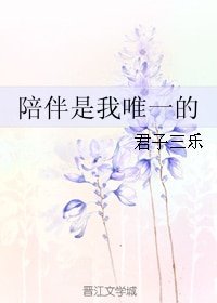 陪伴是我唯一的