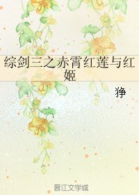 (BL/综同人)综剑三之赤霄红莲与红姬