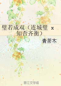 (BL/綜同人)璧若成雙(連城璧 x 知否齊衡)