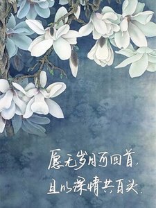閣主歷劫記