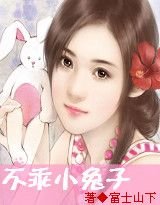 先有後婚:不乖小兔子