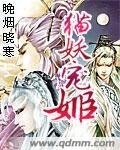 妃咒第一世:貓妖寵姬