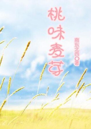 桃味麦芽(网络版)