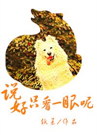 说好只看一眼呢