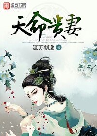 天命貴妻