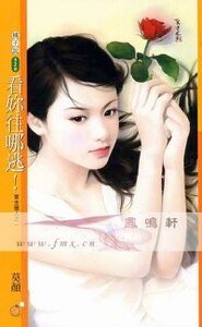 看你往哪逃!(赏金猎人系列之一)