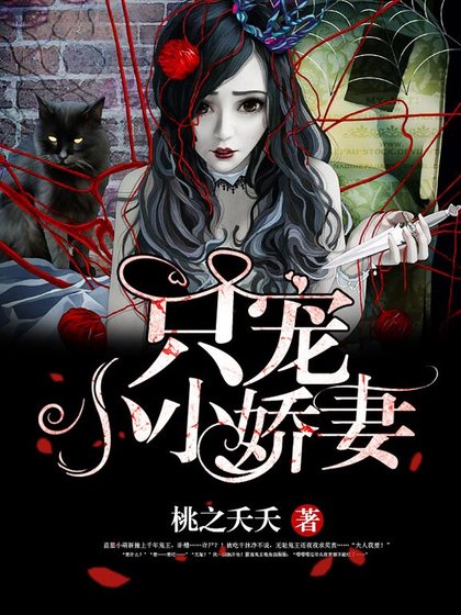 只宠小小诀妻
