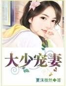 大少宠妻