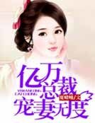 亿万总裁宠妻无度