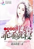 一寵成癮:鮮妻,乖乖就寢