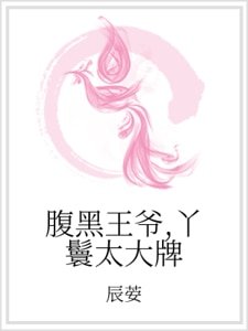 腹黑王爺,丫鬟太大牌
