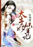太子妃从军记