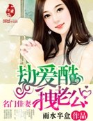 名門佳妻:劫愛酷拽老公