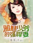 邪魅少爺的強悍妻