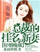 好婚晚成:總裁的掛名新妻