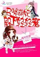 召喚萌妃:殿下輕輕寵