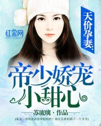 天价孕妻:帝少娇宠小甜心