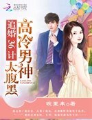 高冷男神太腹黑:追婚36计