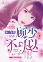 第一寵婚:顧少,不可以!