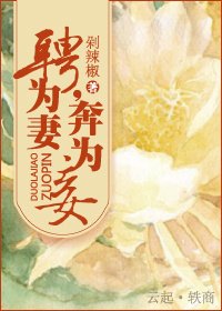 聘為妻,奔為妾