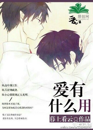 爱有什么用
