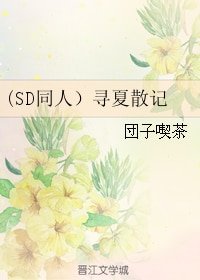 (灌籃高手同人)(SD同人)尋夏散記