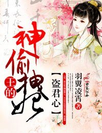 盜君心,王的神偷拽妃