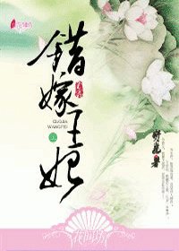 错嫁王妃