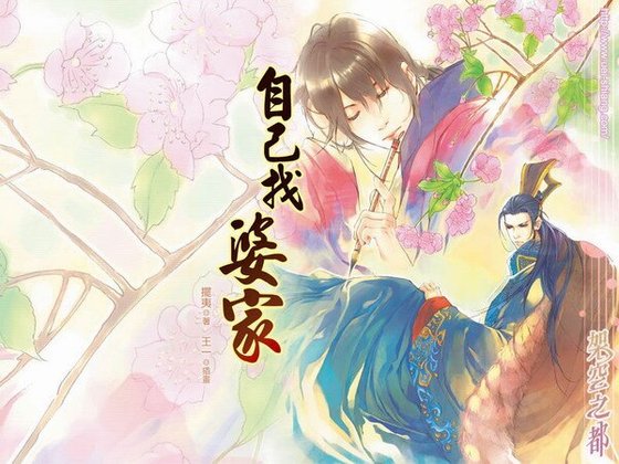 自己找婆家(出书版)
