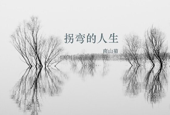 (综电视剧同人)拐弯的人生