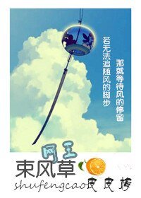 (網王同人)束風草(網王)