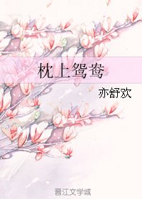 枕上鴛鴦
