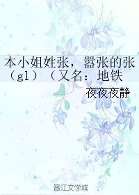 本小姐姓张,嚣张的张(gl)/地铁里的心灵悸动
