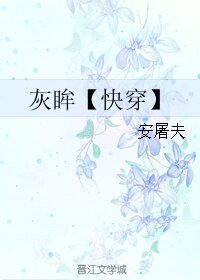 灰眸【茅穿】