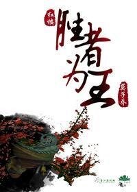 (红楼同人)胜者为王