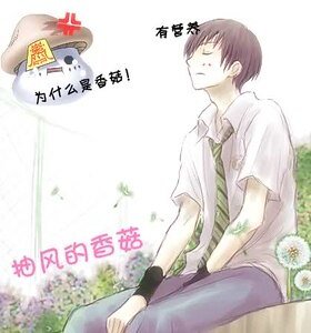 (网王+轻音同人)抽风的香菇